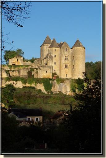 Château de Salignac